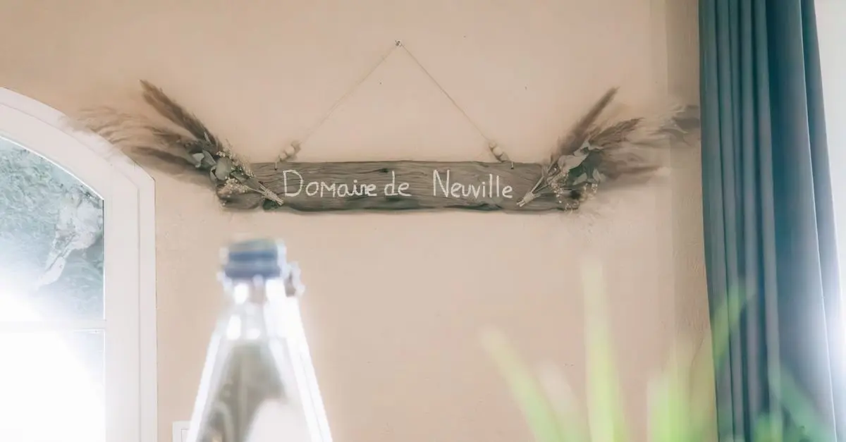 Guide d'achat : Décoration Écologique et Écoresponsable