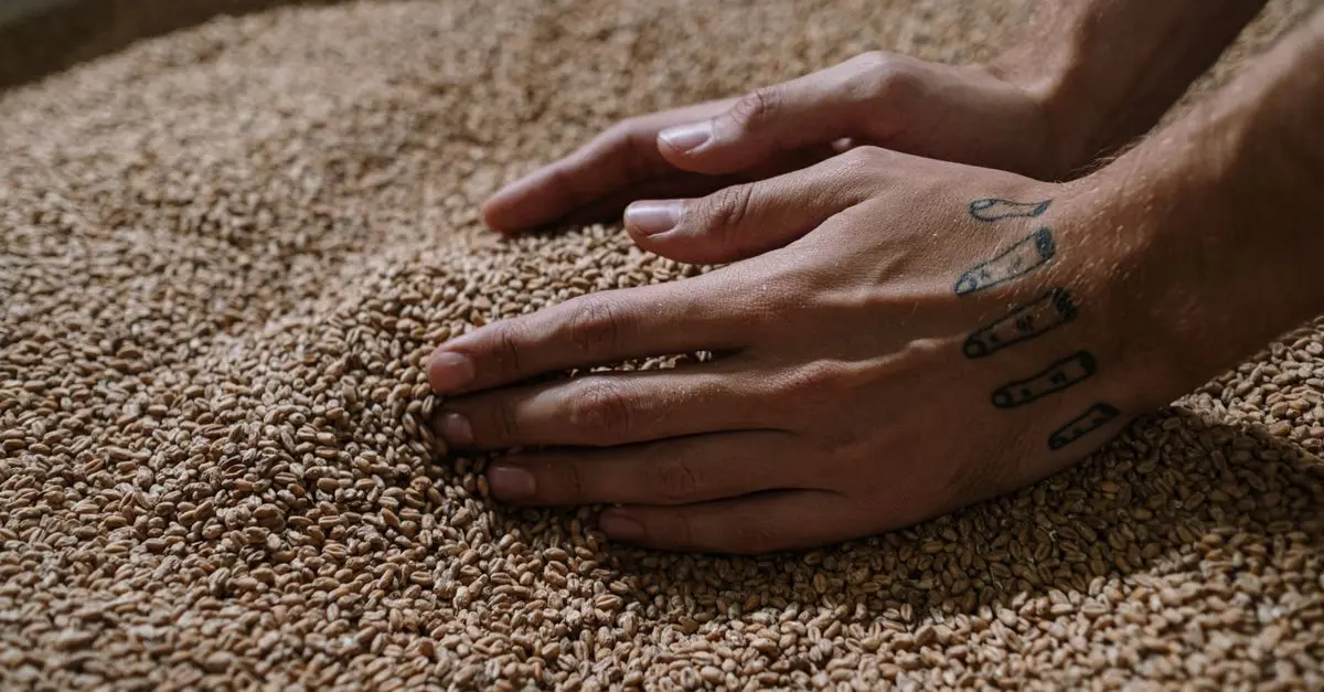 Solutions de Stockage de Grains Sécurisées