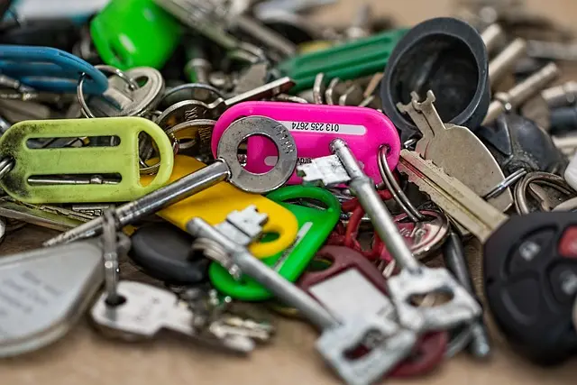 Ultimate Guide to Top DIY Organization Tools