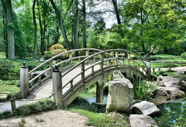 Guide d'achat du meilleur matériel de jardinage pas cher