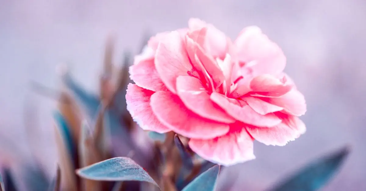 Arbustes populaires pour votre jardin extérieur
