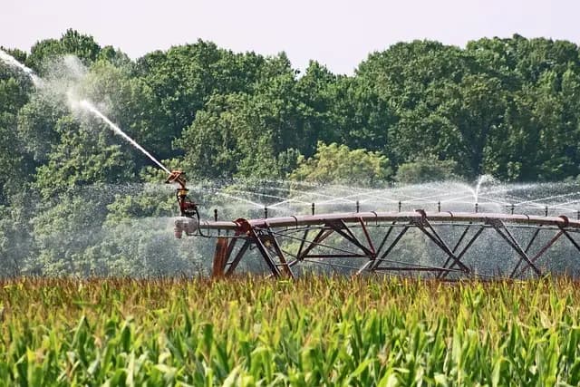 Guide d'achat des meilleurs équipements d'irrigation