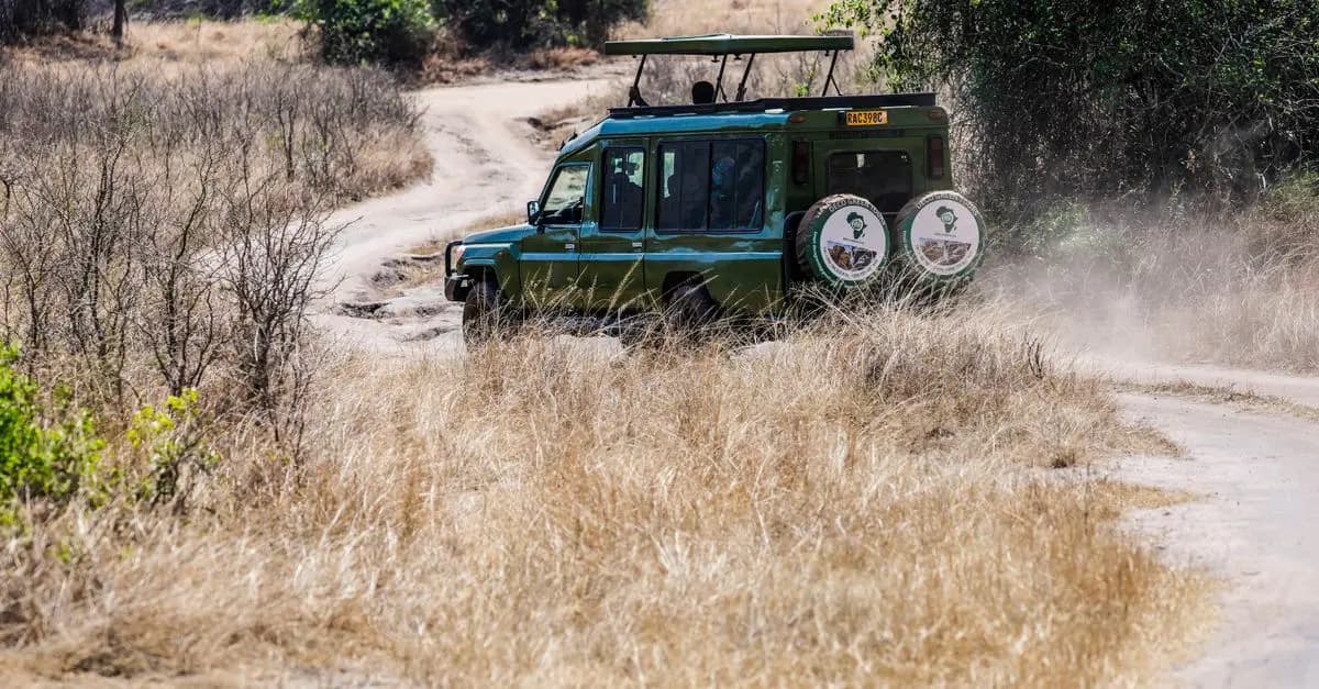 Guide des Meilleurs Safaris en Afrique